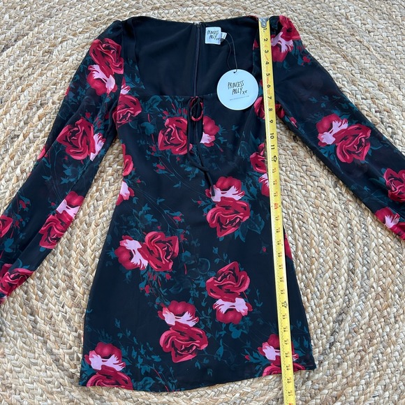 Princess‎ Polly Dress NWT Bayford Long sleeve Mini Size 2 XS Rose Fairygoth - Picture 5 of 9